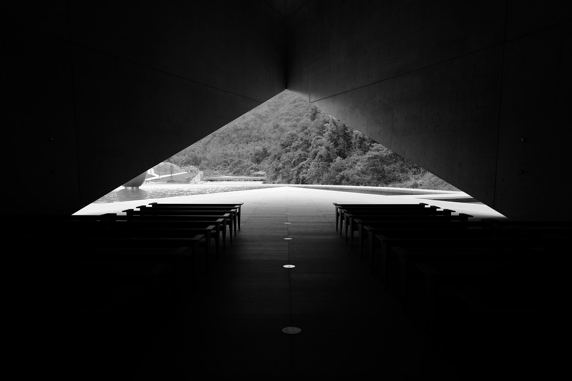 1767945475962449.jpg IMG_6949.JPG