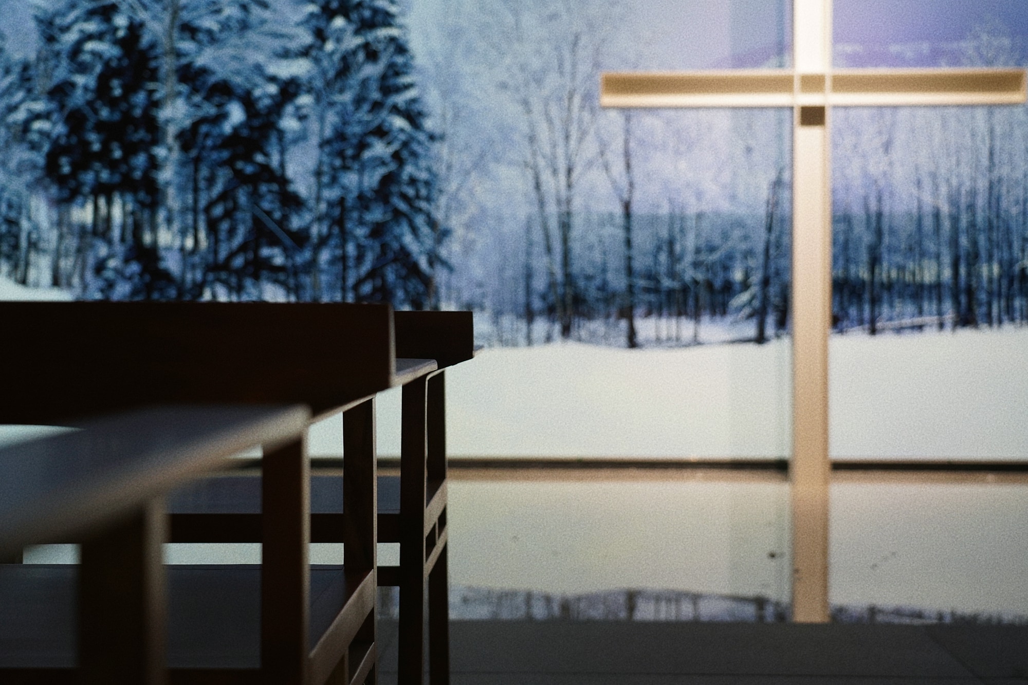 1767946156736944.jpg IMG_7761.JPG