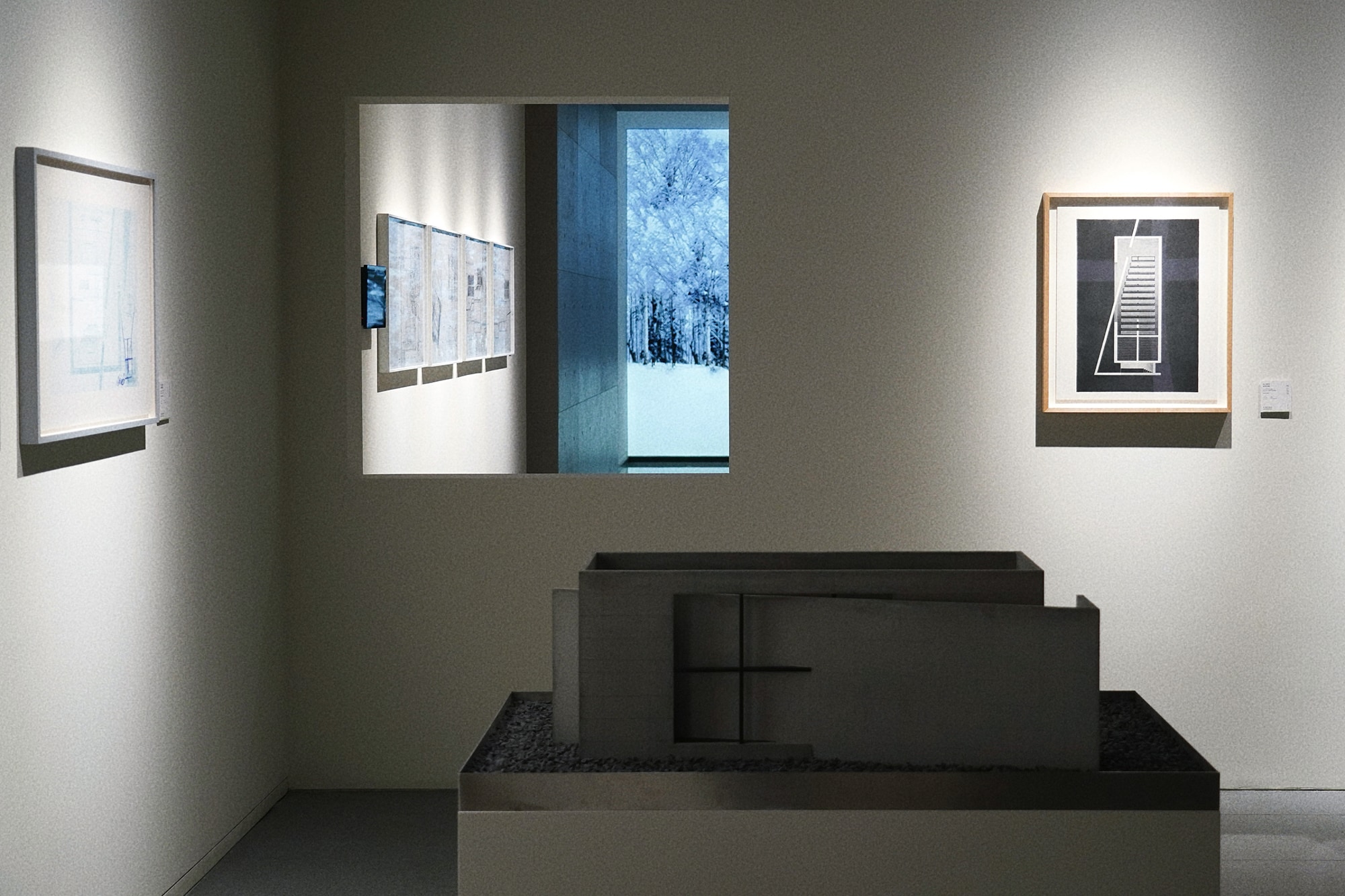 1767946165593102.jpg IMG_7765.JPG